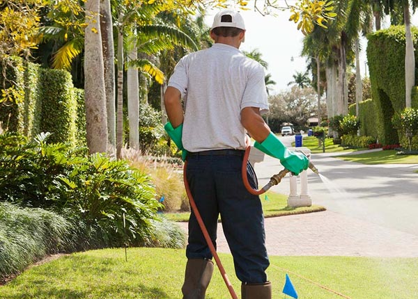 About New Cumberland PA Pest Control Pros